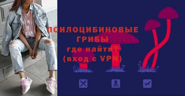 МДПВ Алзамай